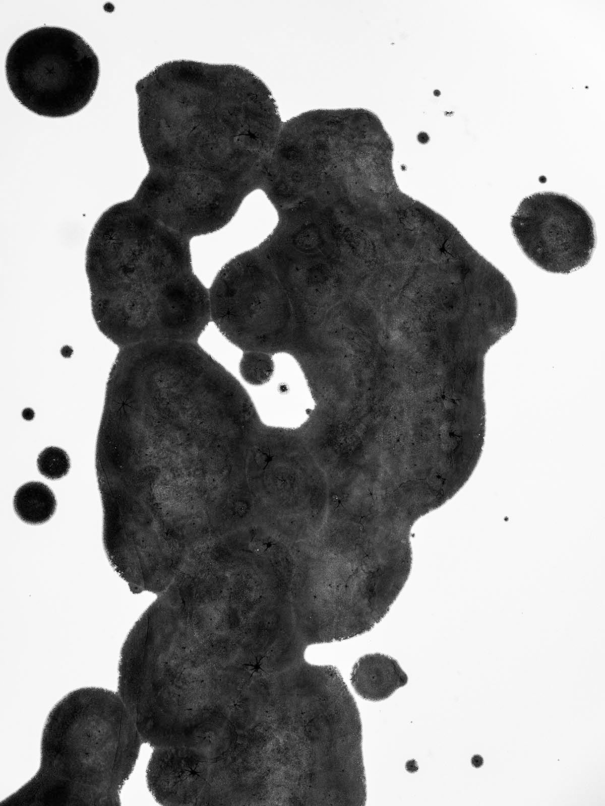 Kacper Kowalski, Event Horizon