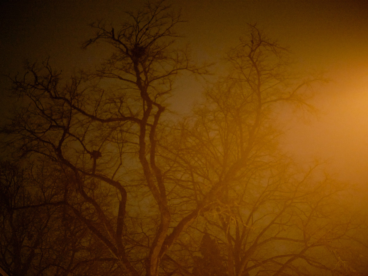 Eli Dijkers, A Clot In Time