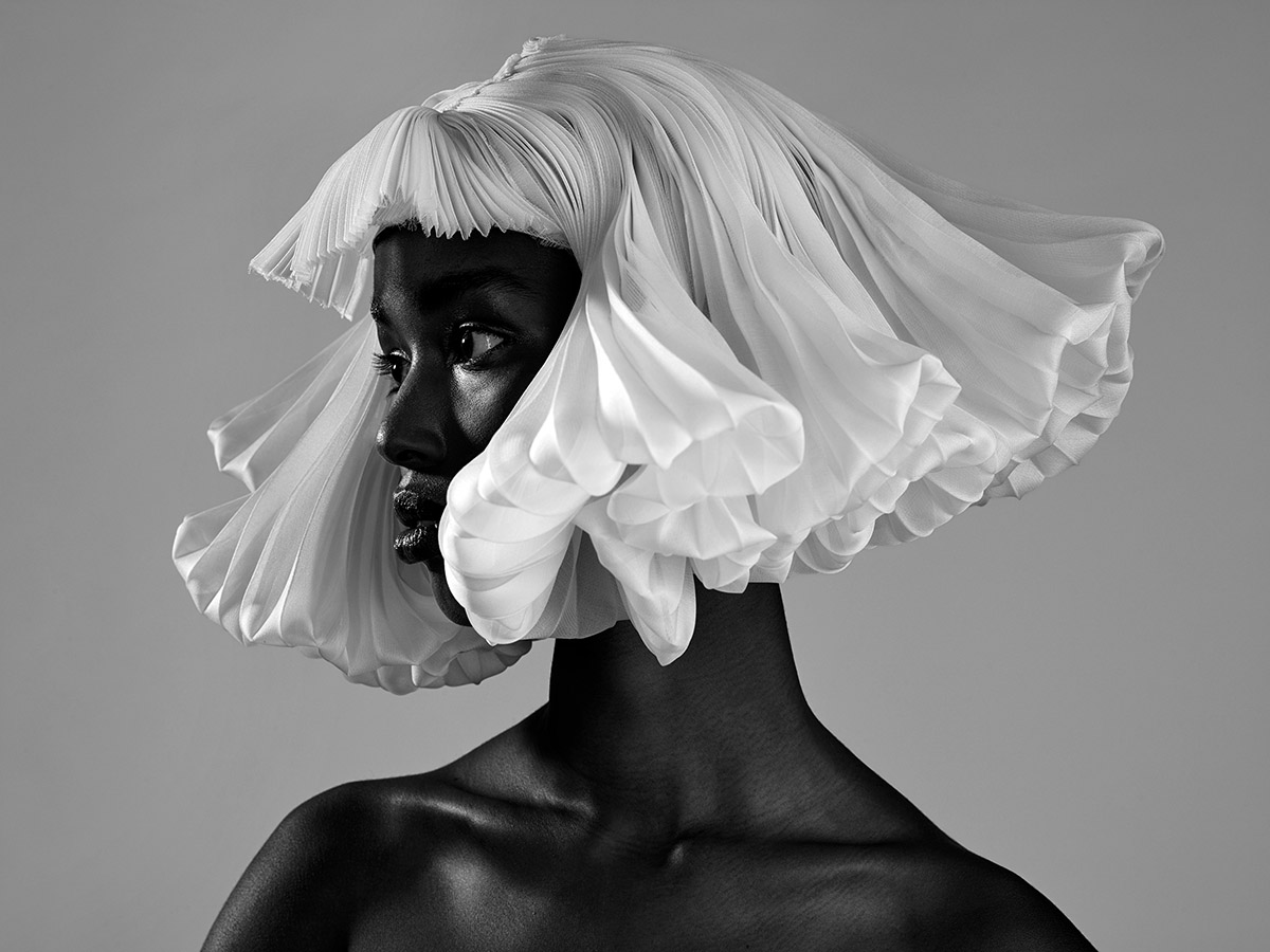 Wendelien Daan, Wig, 2019