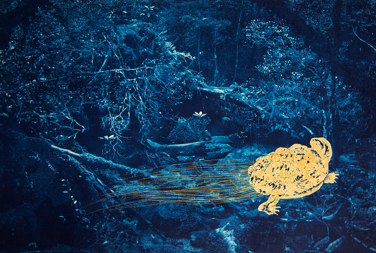 Dit multimediale project van beeldend kunstenaar en fotograaf Anas Lpez volgt het waargebeurde sprookje van haar zoektocht naar de gouden schildpad Kami.