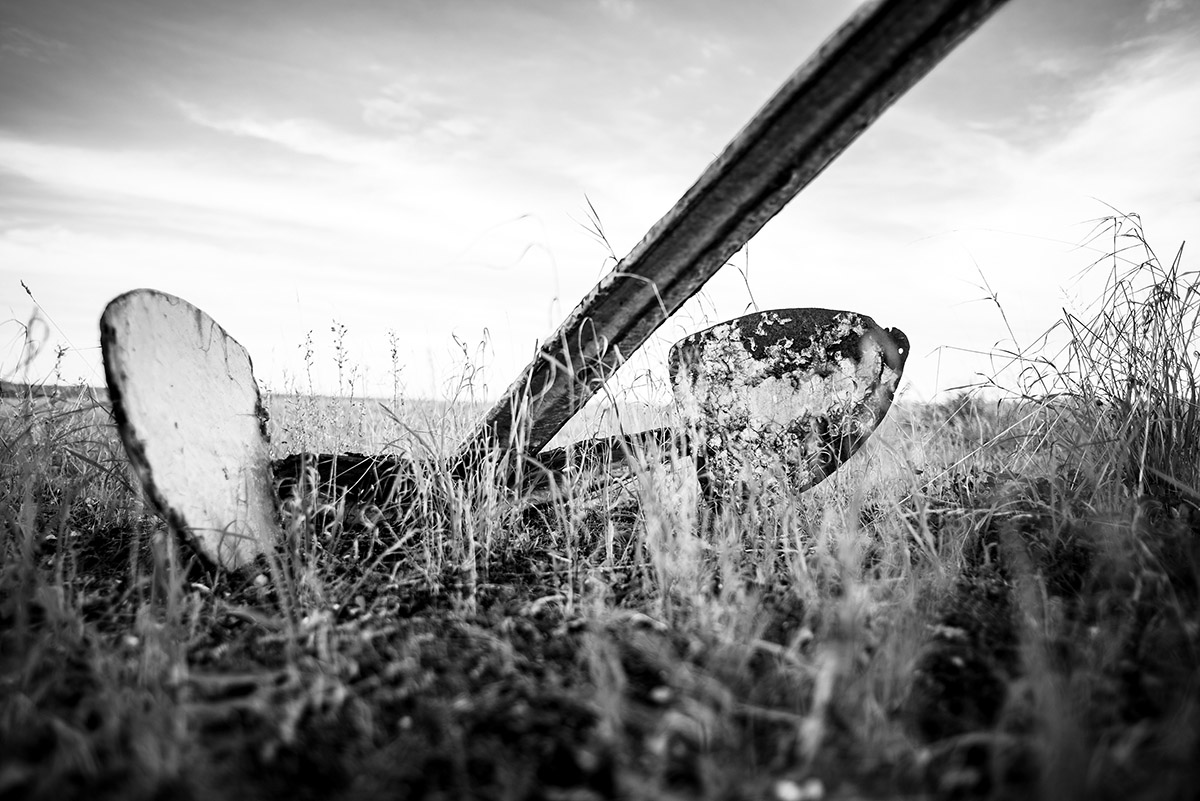 Caroline Penris, Ankers op het droge