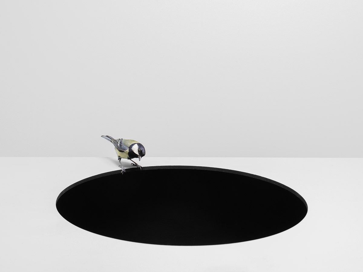 Hans van Asch, Wormhole (2023), courtesy Gallery Untitled