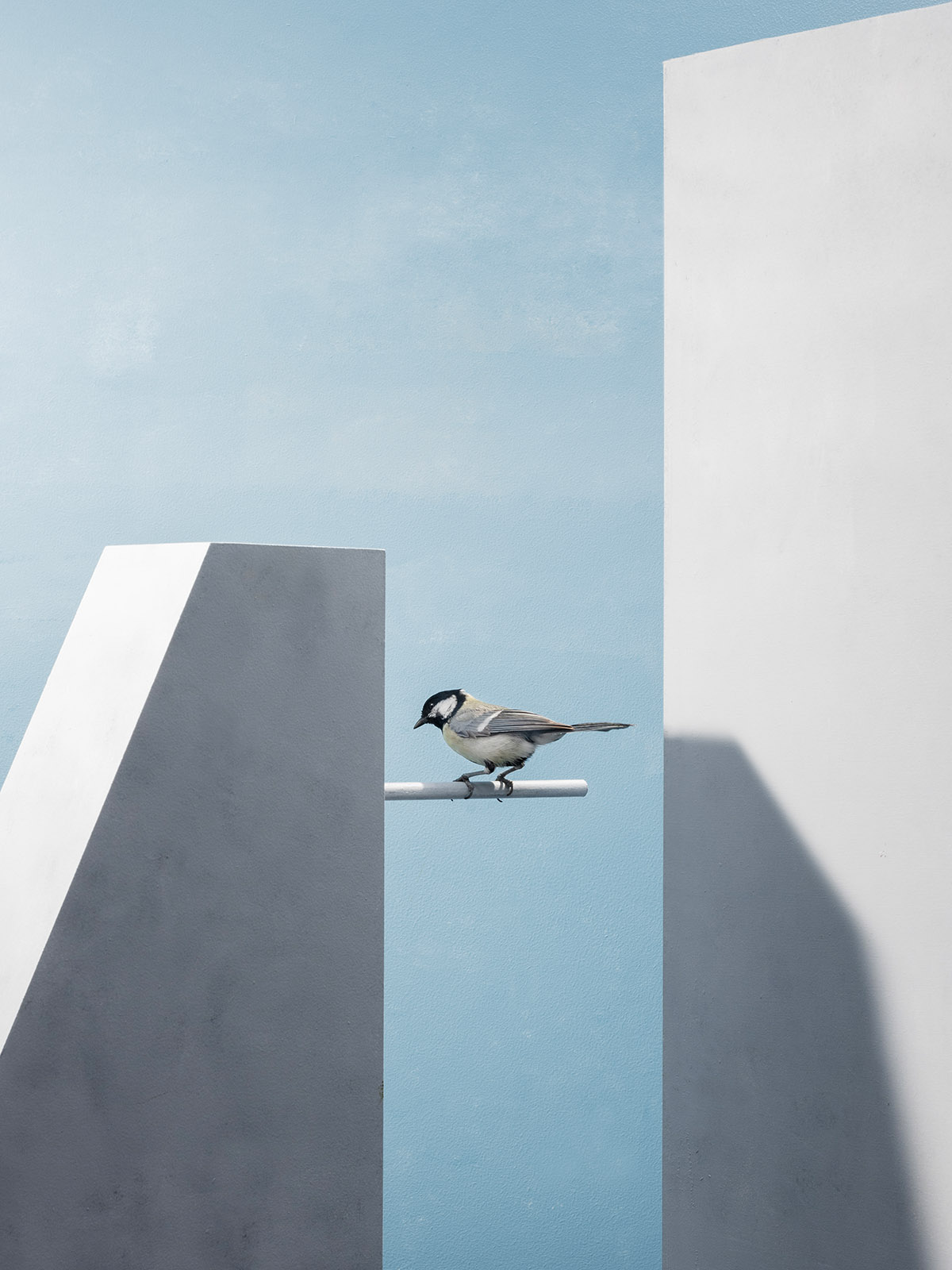 Hans van Asch, Bouwconstructie met Koolmees (2023), courtesy Gallery Untitled