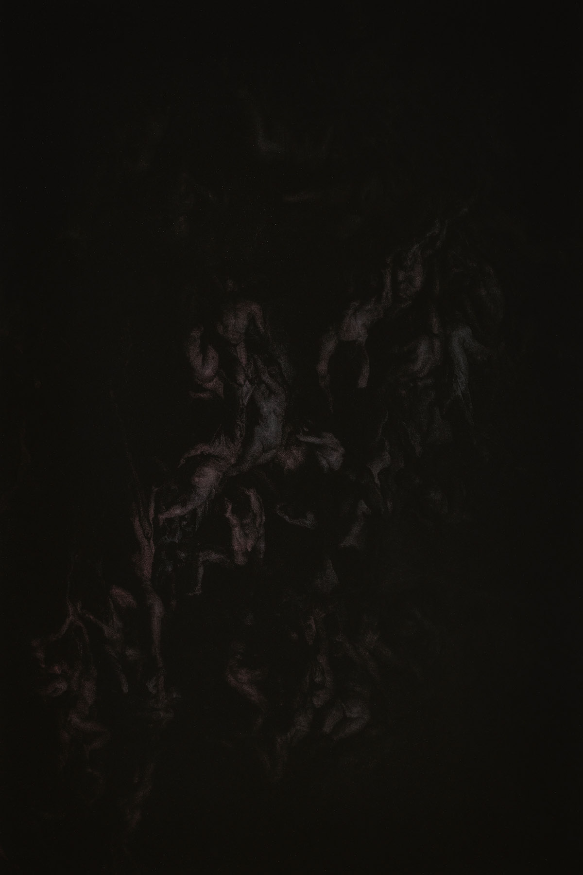 Luc Praet, Altered, 2024