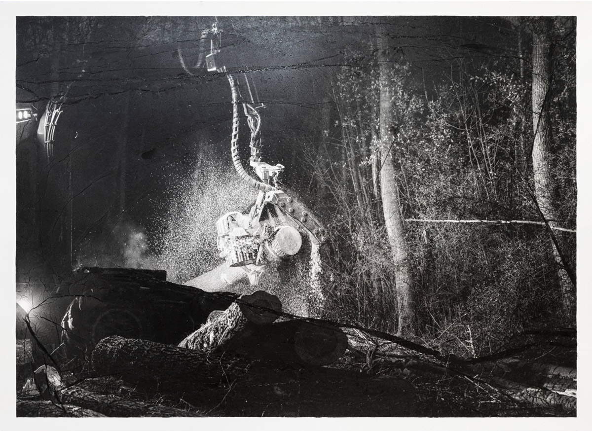 Sylvie Bonnot, Penchant naturel, 2022, courtesy Hangar Gallery