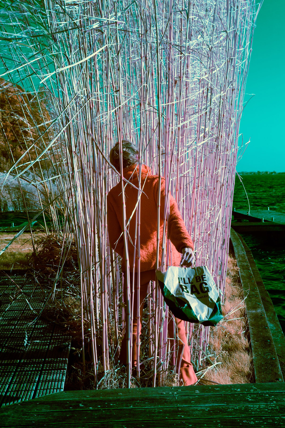 Ariane James, Dagboek