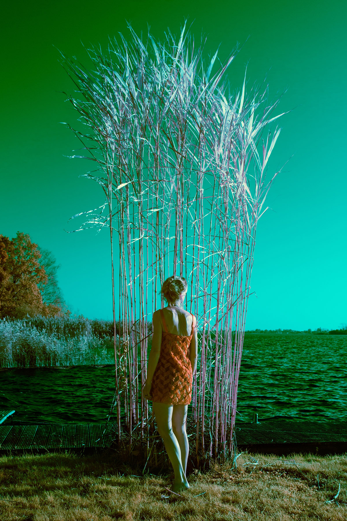 Ariane James, Dagboek