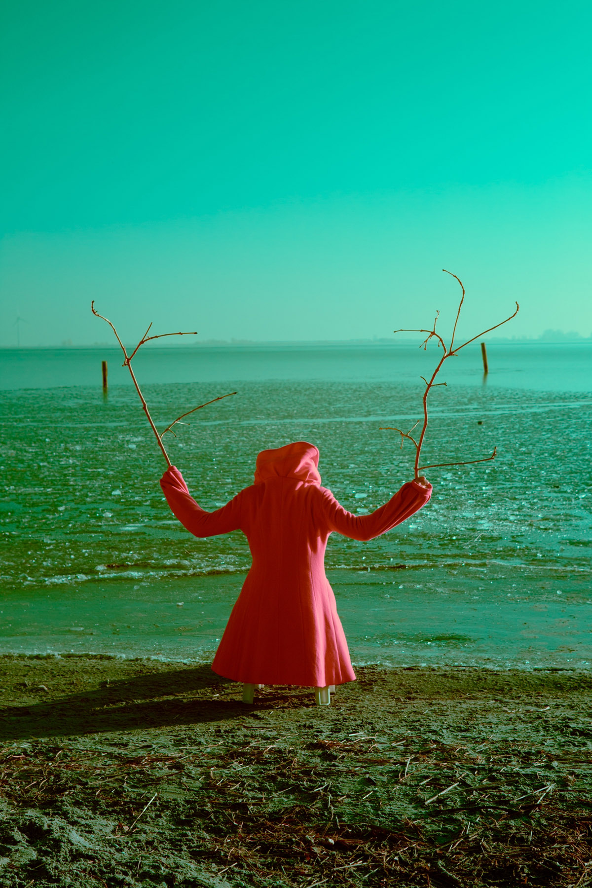 Ariane James, Dagboek