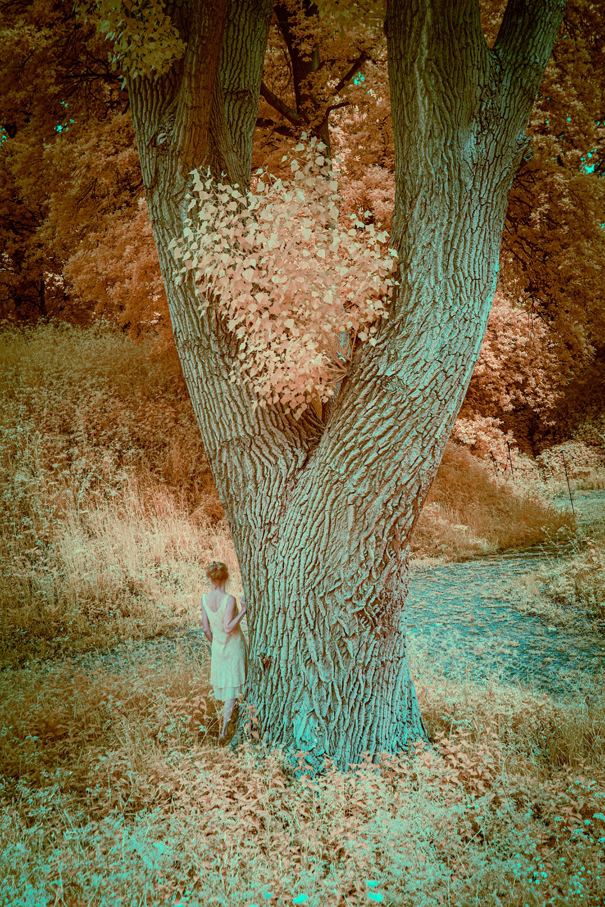 Ariane James, Dagboek