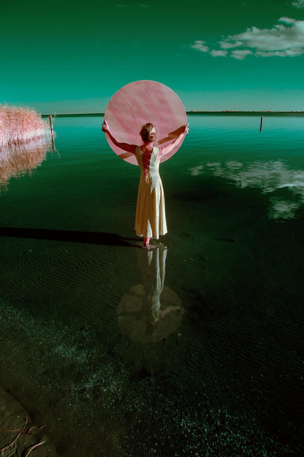 Ariane James, Dagboek