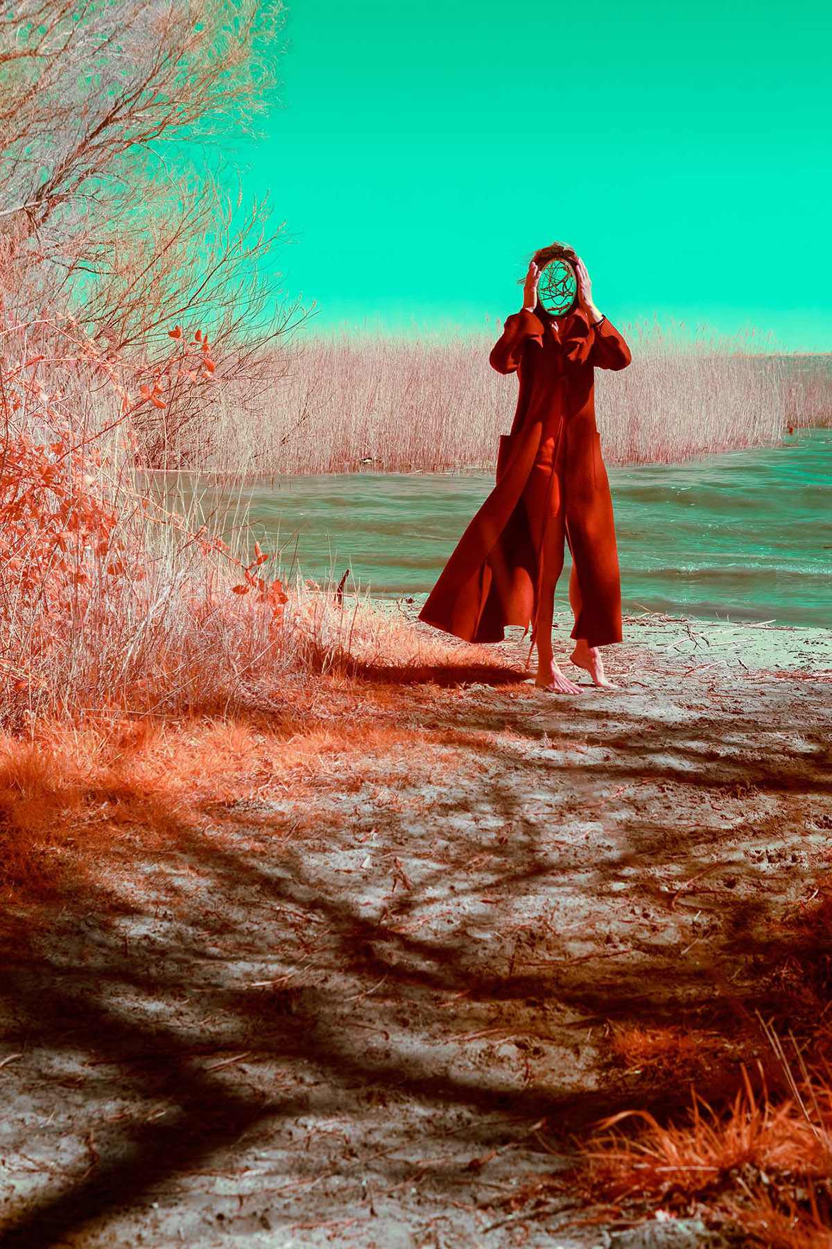 Ariane James, Dagboek