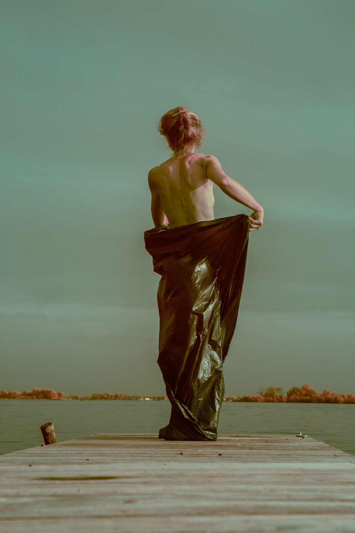 Ariane James, Dagboek