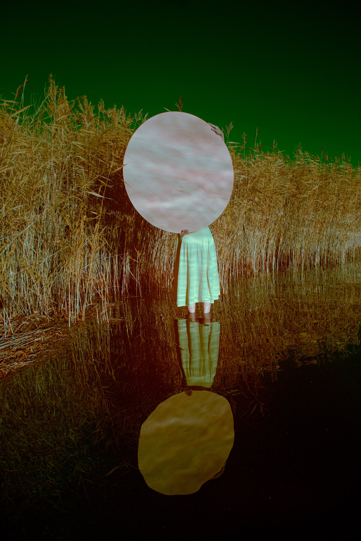 Ariane James, Dagboek