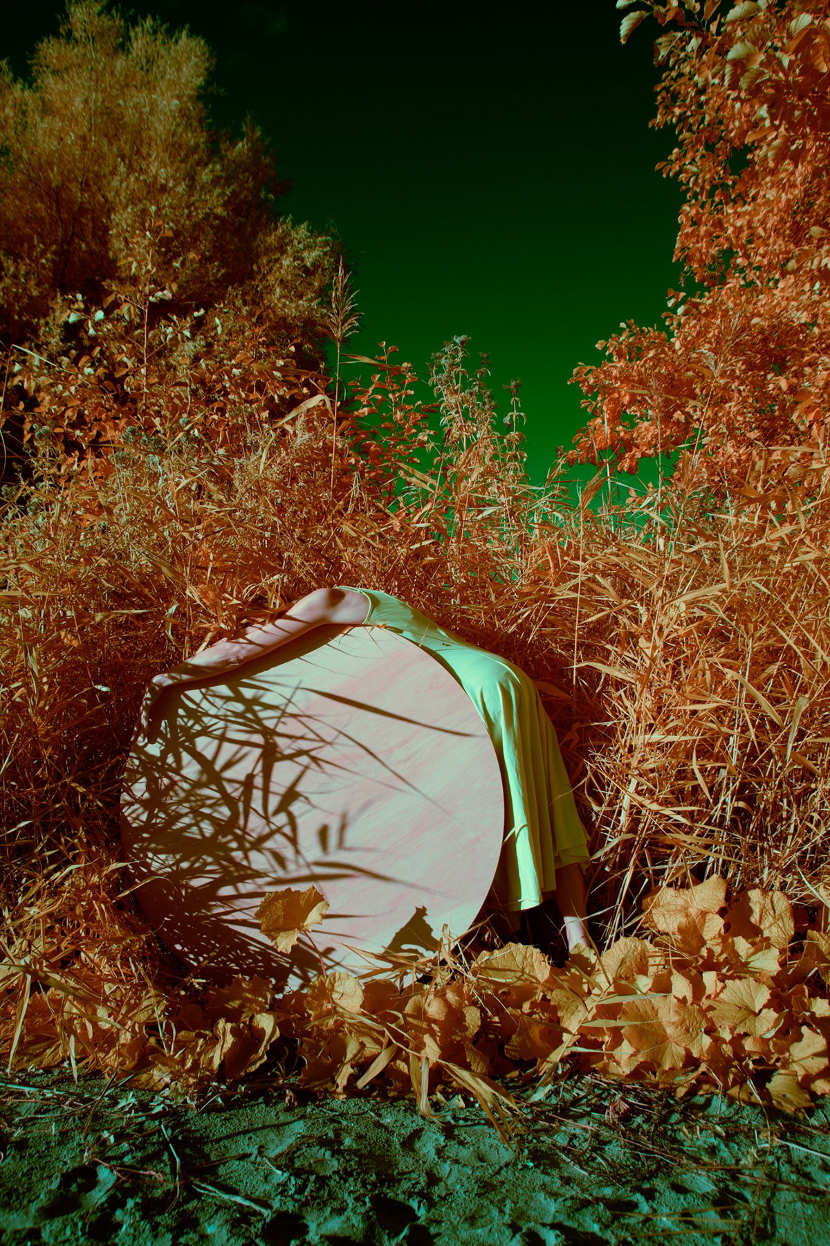 Ariane James, Dagboek