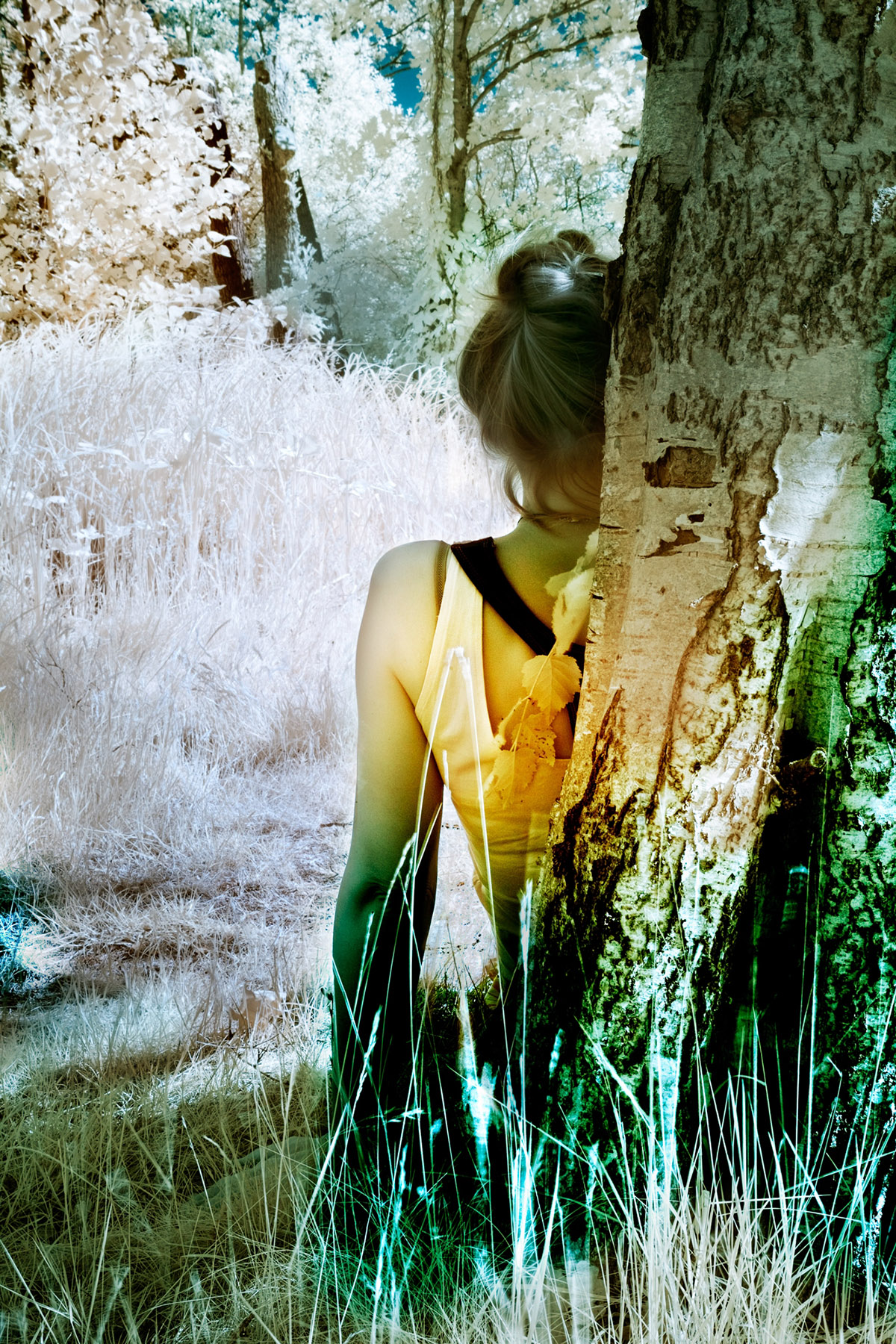 Ariane James, Dagboek