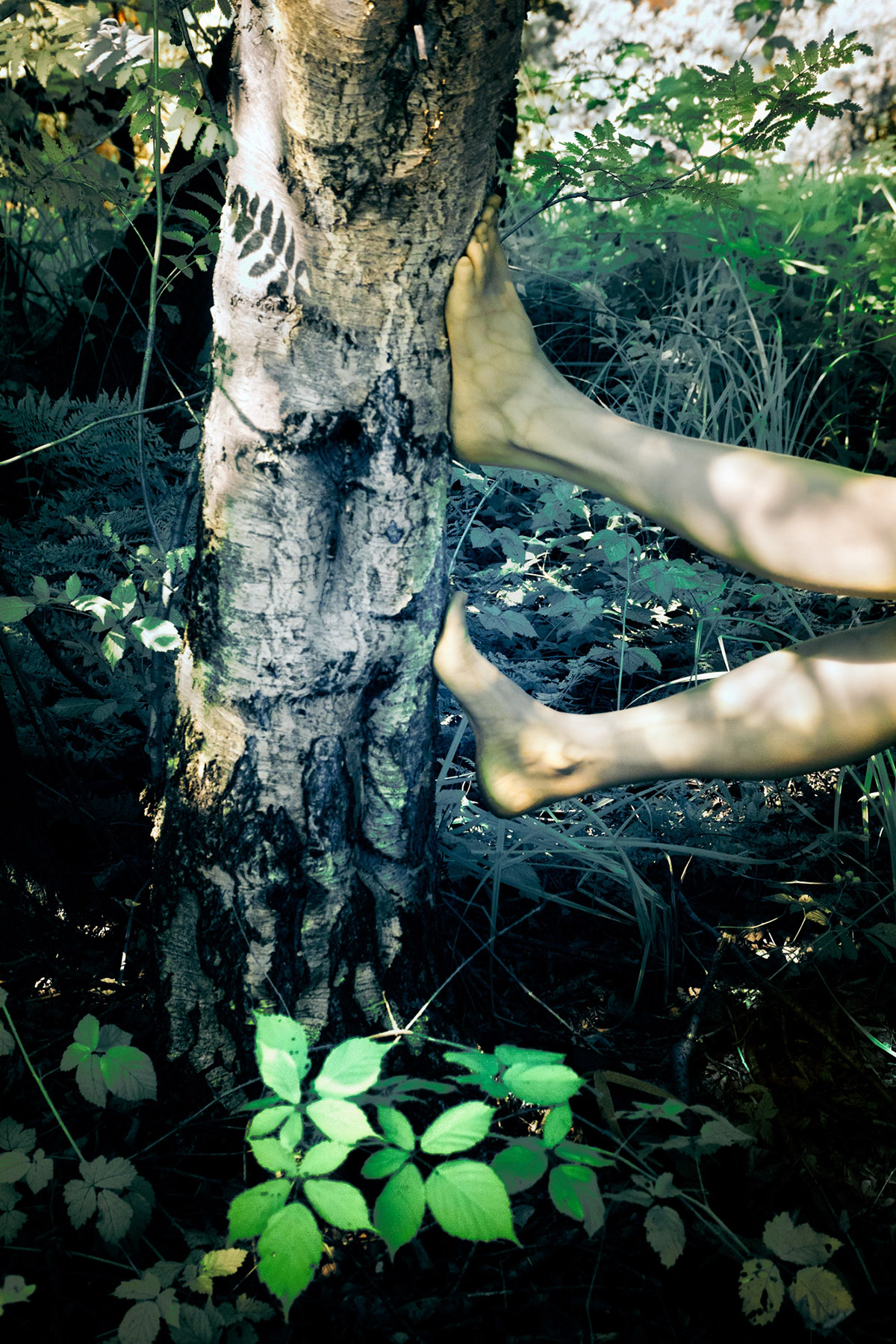 Ariane James, Dagboek