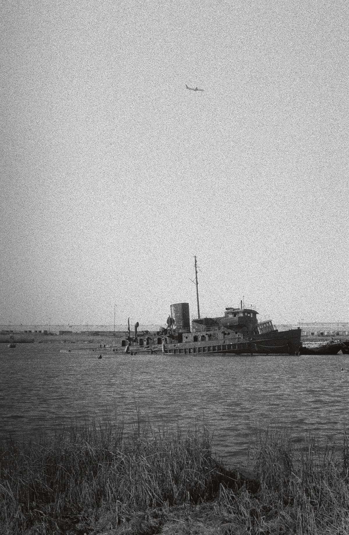 Maura Sullivan, Ship song