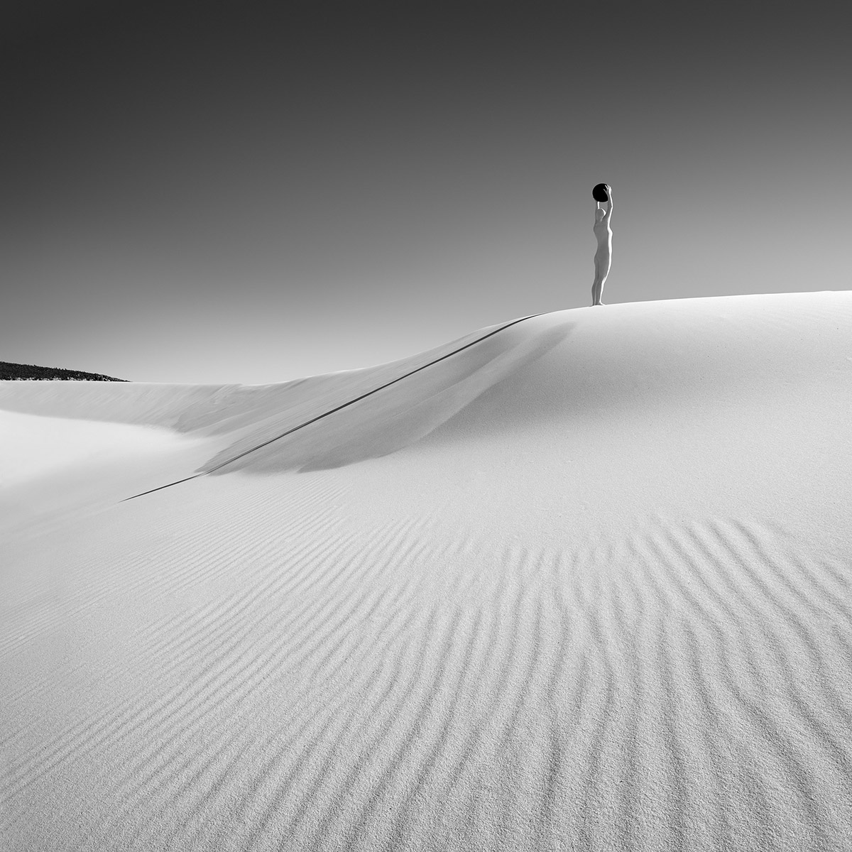 Astrid Verhoef, Human//Nature