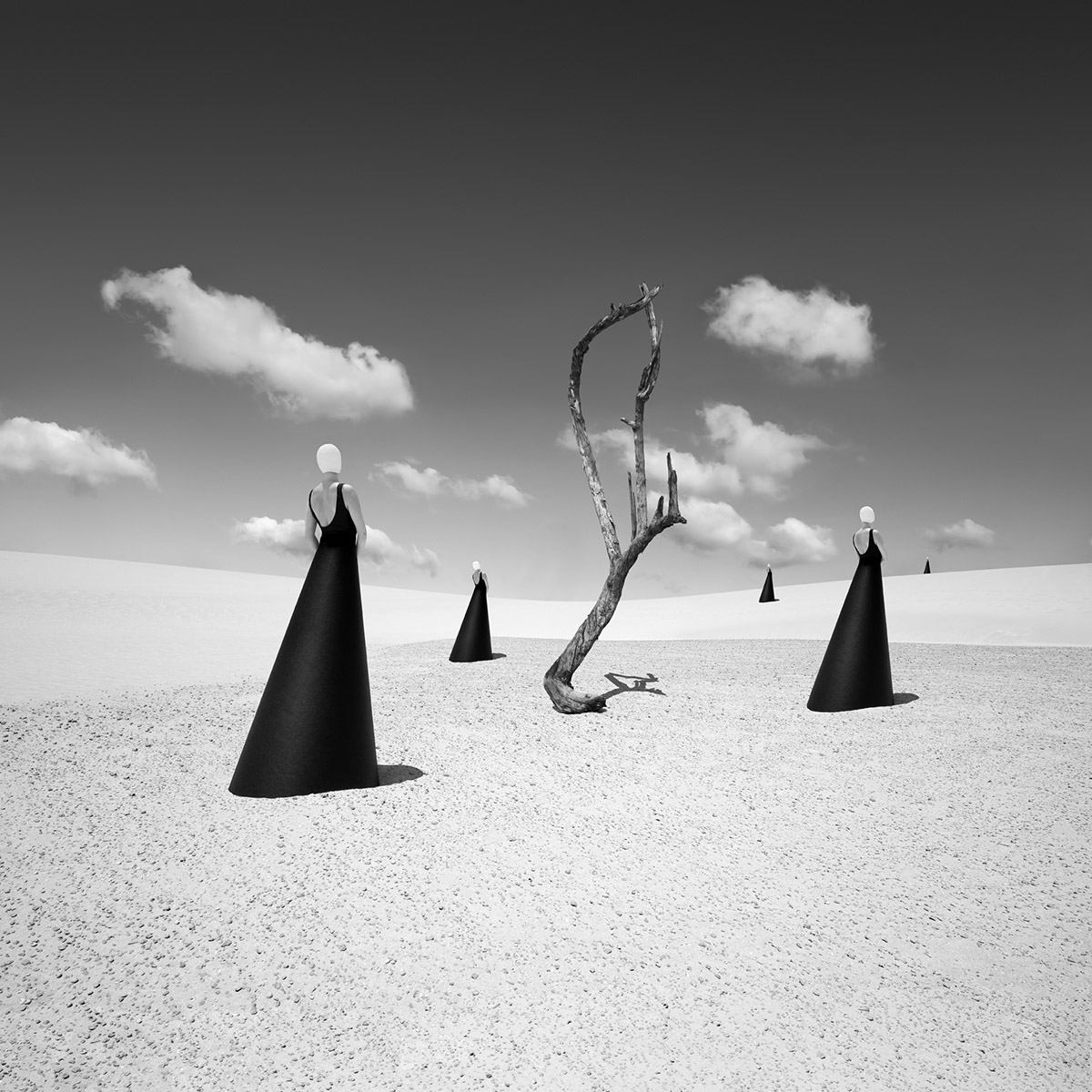 Astrid Verhoef, Human//Nature