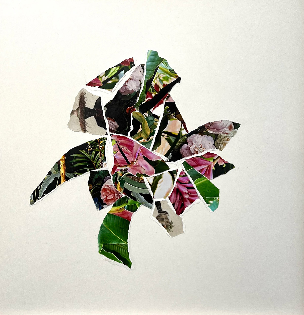 Patricia Werneck Ribas, Balb&uacute;rdia