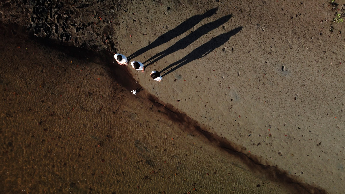 Patricia Werneck Ribas, Balb&uacute;rdia