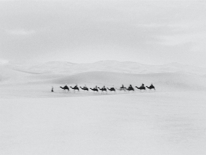 Bastiaan Woudt, Karawan, 2016