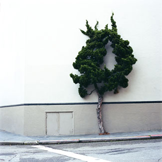 Natascha Libbert, Mystifying Series, 2009, lambda print on diasec, 90 x 90 cm, Ed. 5