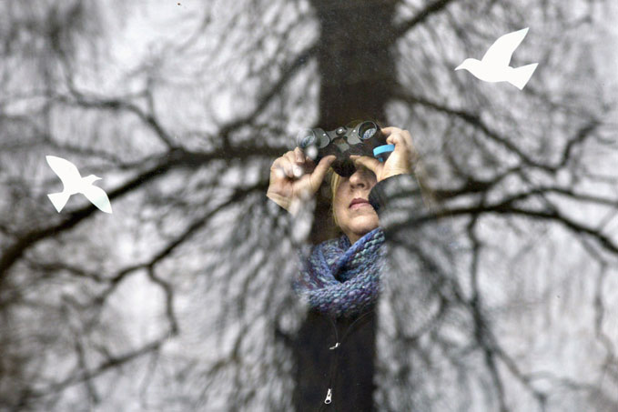 Best of Zilveren Camera