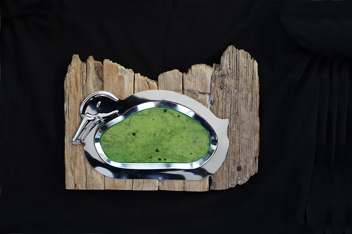 Rob Chevallier, drijfvermogen, foto in eendvorm op drijfhout