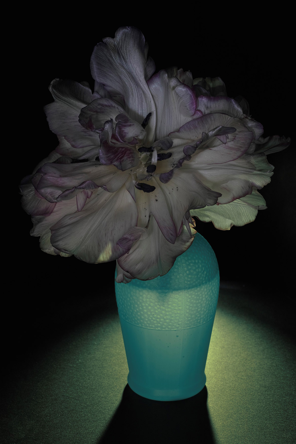 Bob Negryn, Becksies Blue
