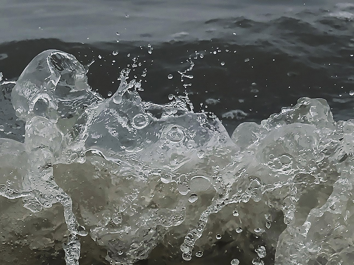 Wijnanda van den Boogaard