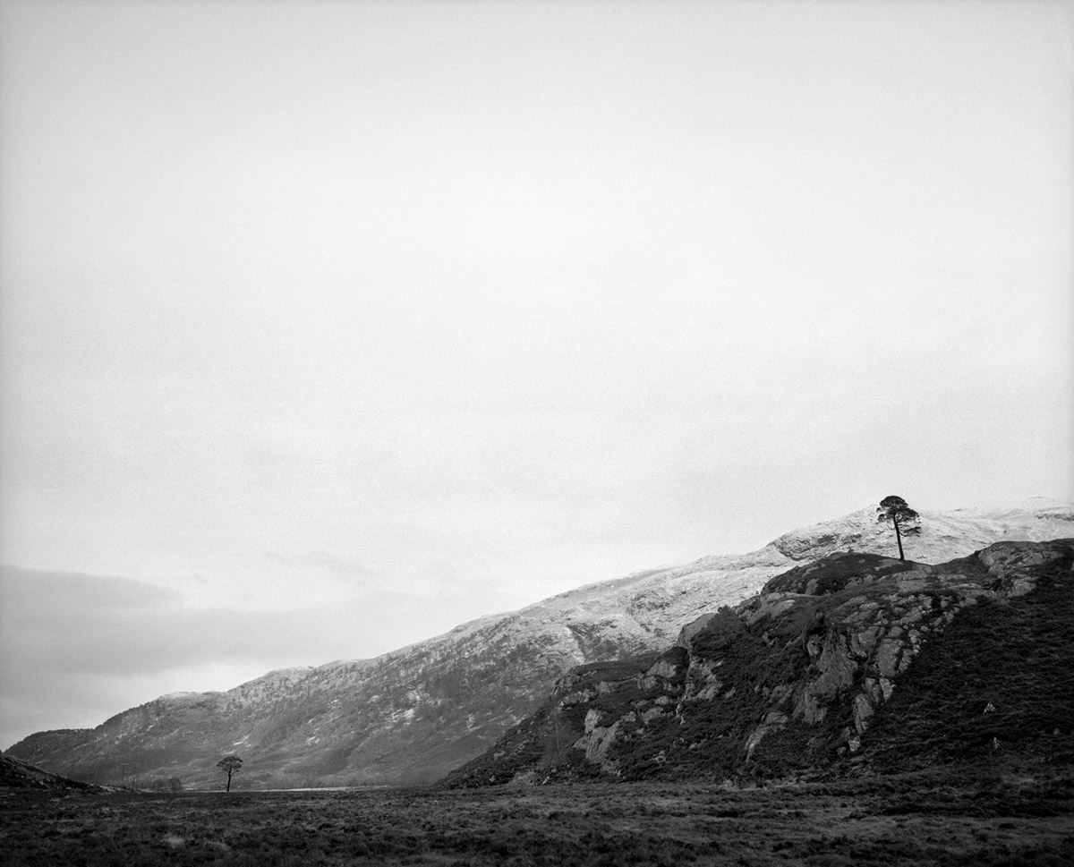 Jeroen Toirkens, Borealis, Schotland, februari 2017, Boreal tree # 25, Courtesy Kahmann Gallery