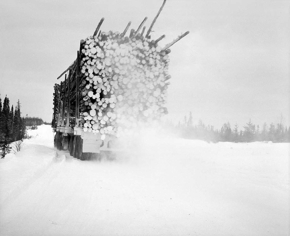 Jeroen Toirkens, Borealis, Schotland, februari 2017, Two Granny Pines, Courtesy Kahmann Gallery