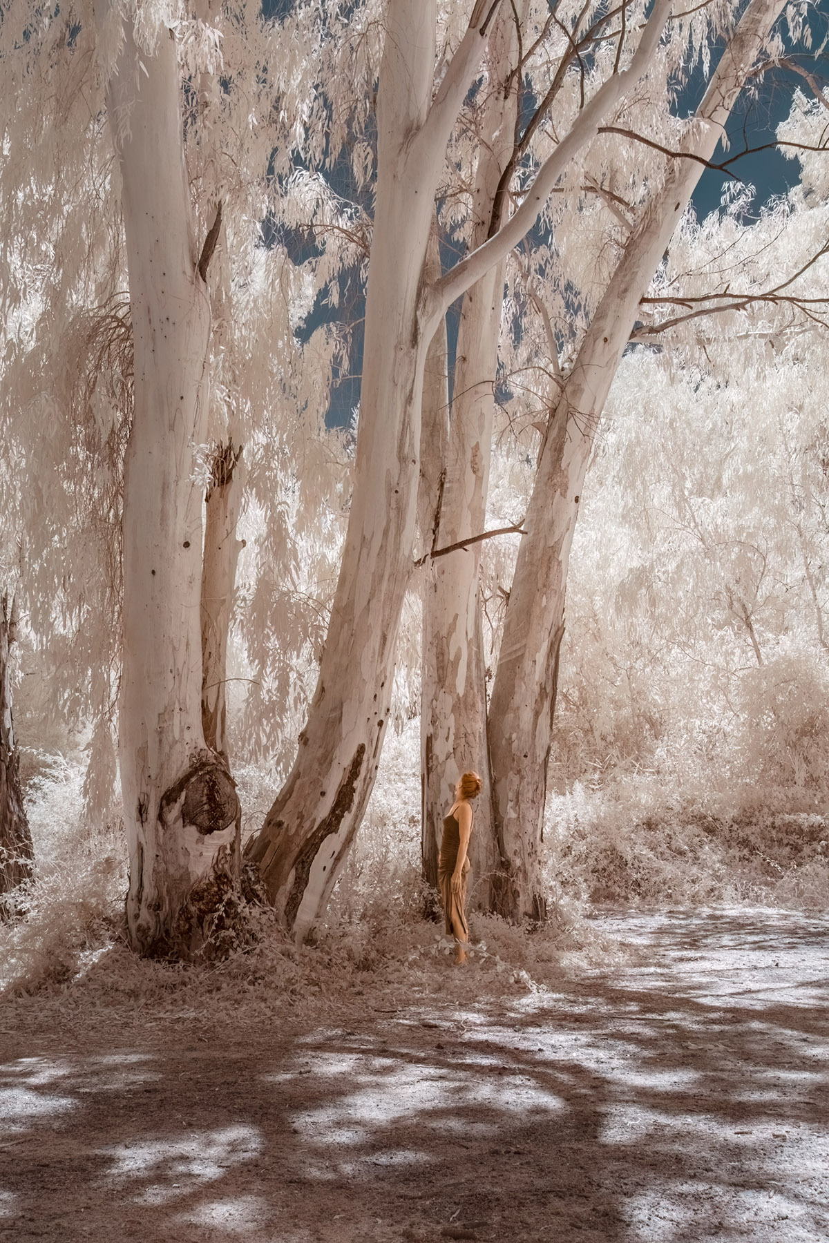 Ariane James, Buitenbenen