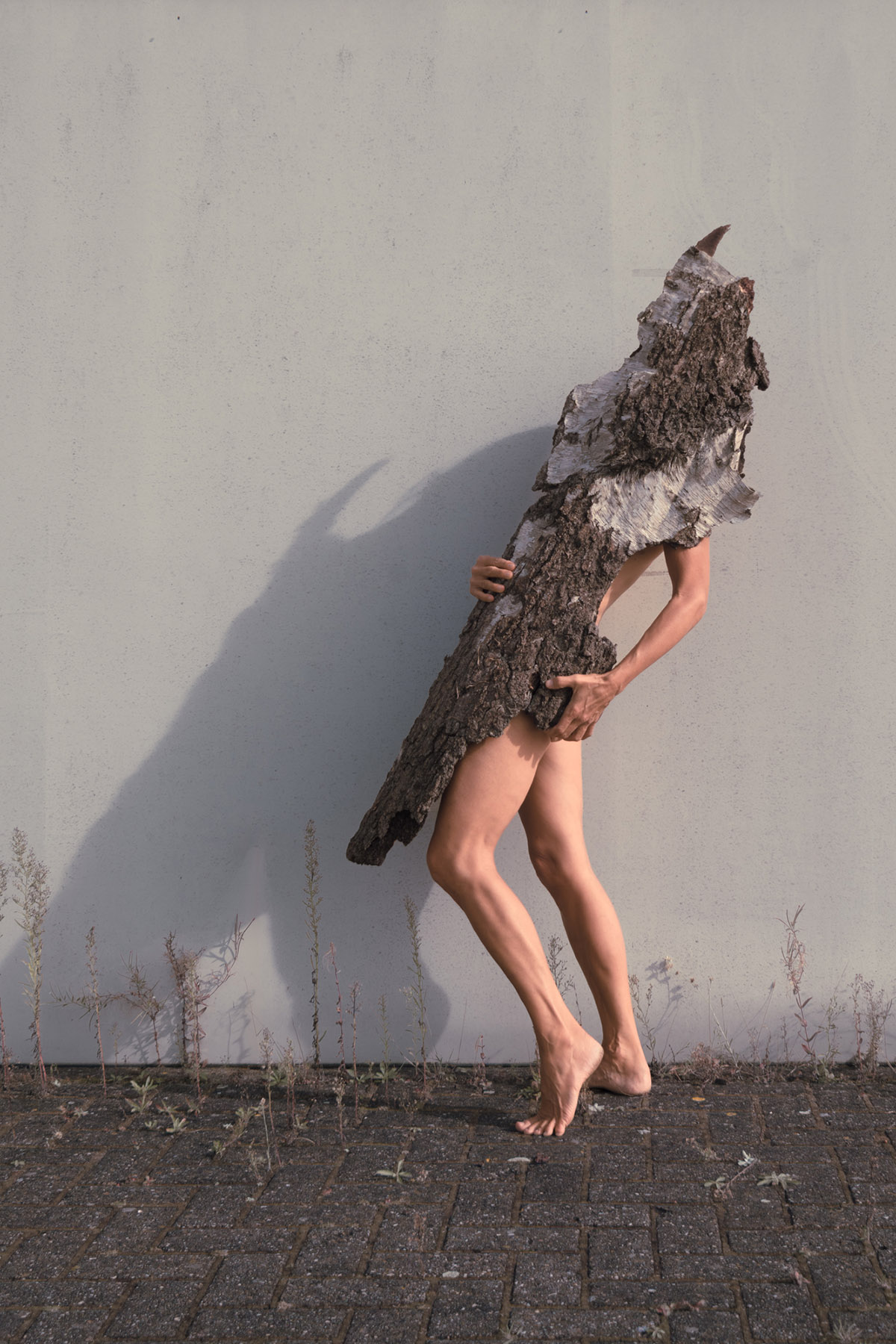 Ariane James, Buitenbenen