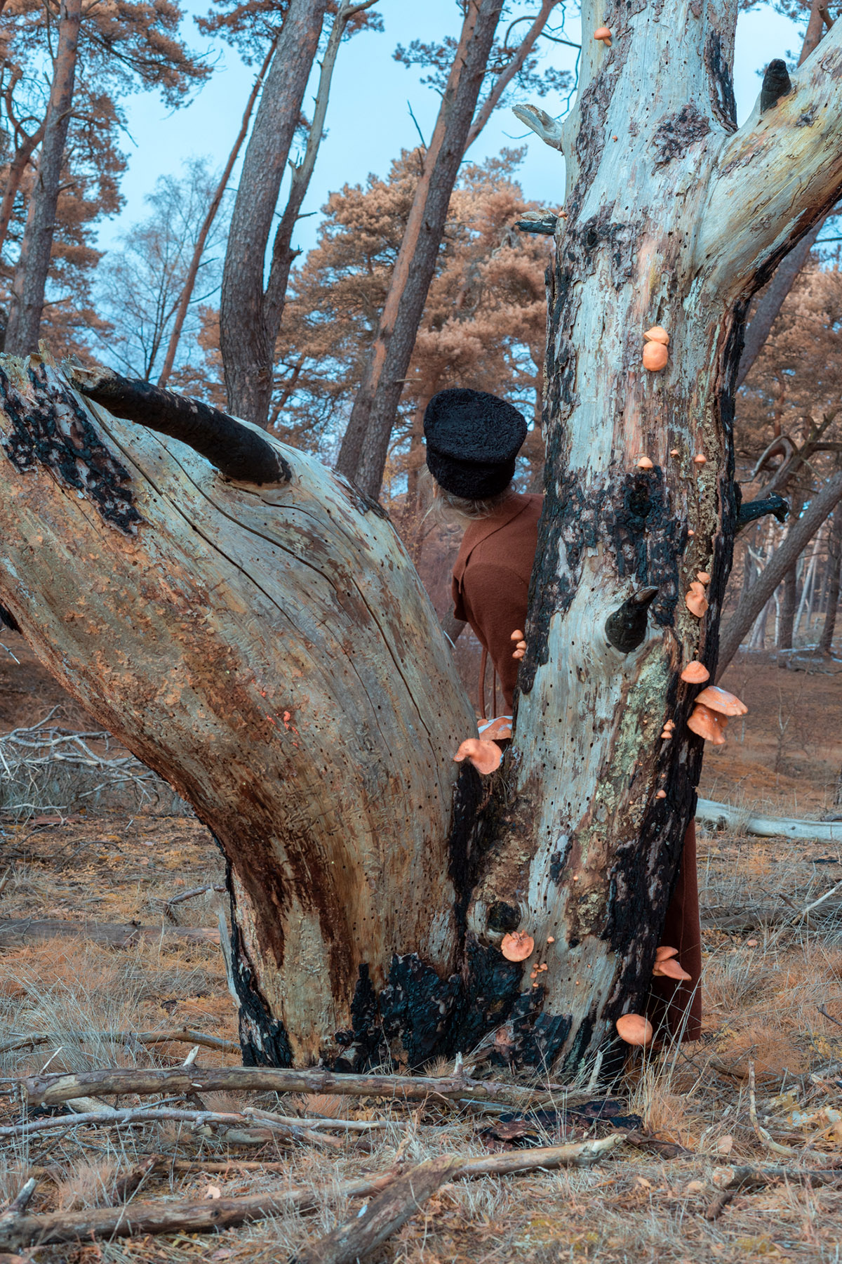 Ariane James, Buitenbenen