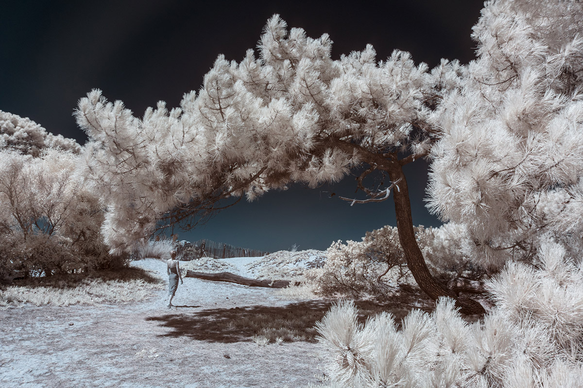 Ariane James, Buitenbenen