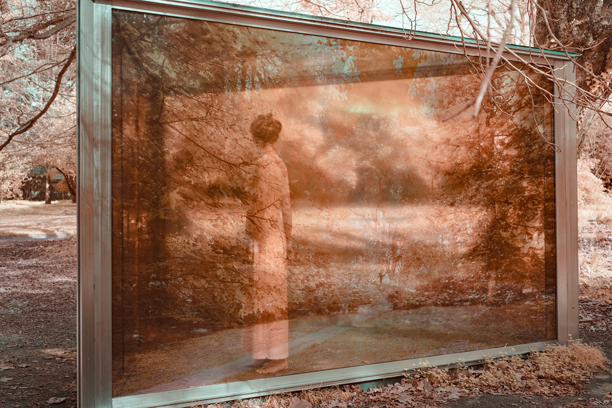 Ariane James, Buitenbenen