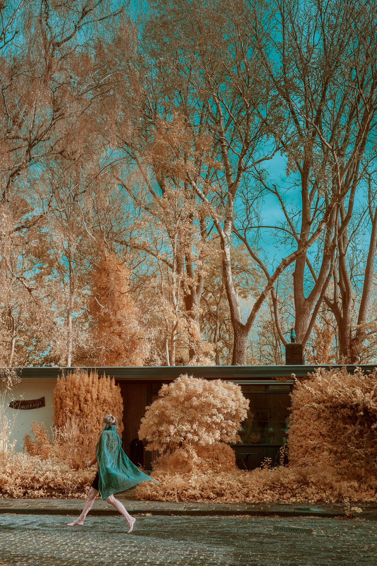 Ariane James, Buitenbenen