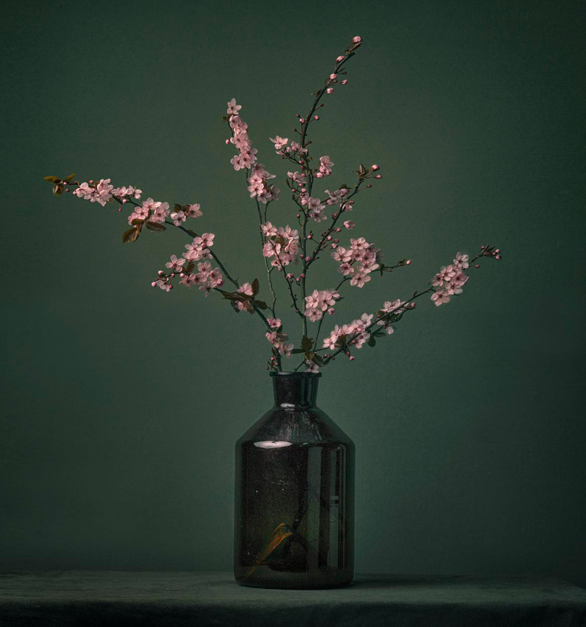 Tessa Posthuma de Boer