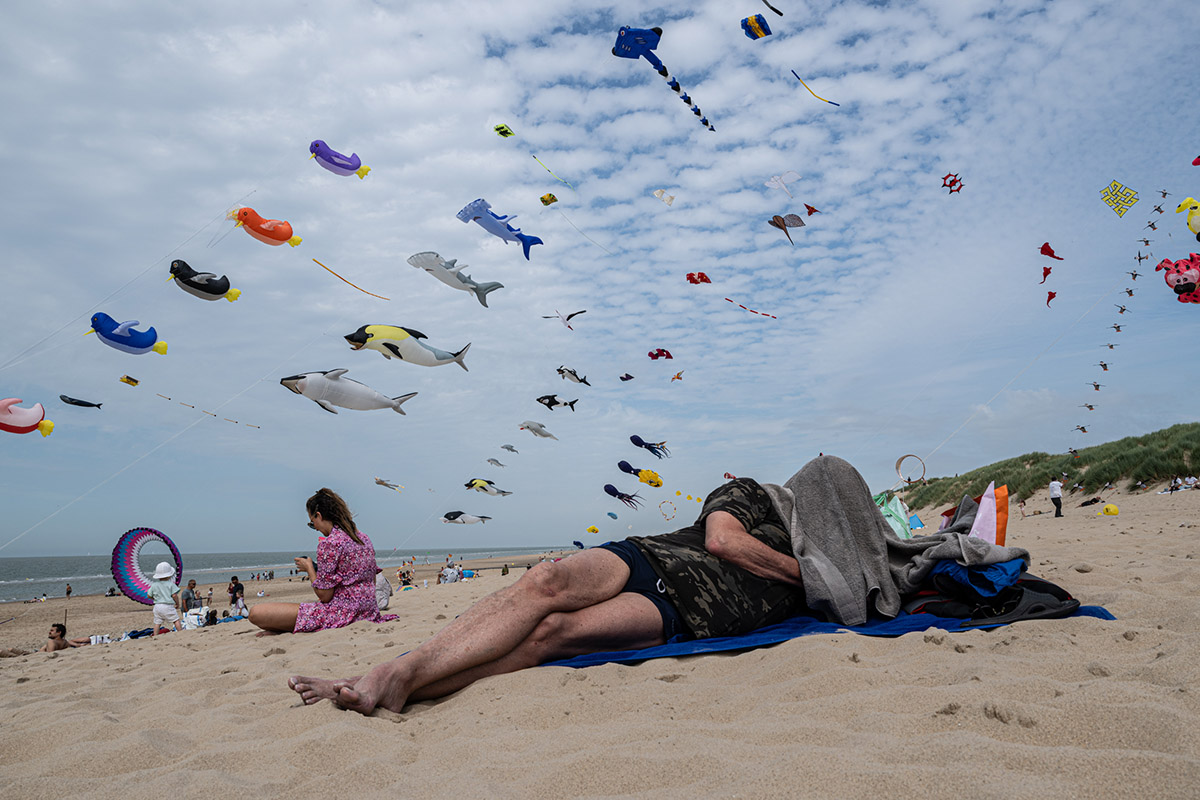 Eddy Verloes, Dreaming of fish