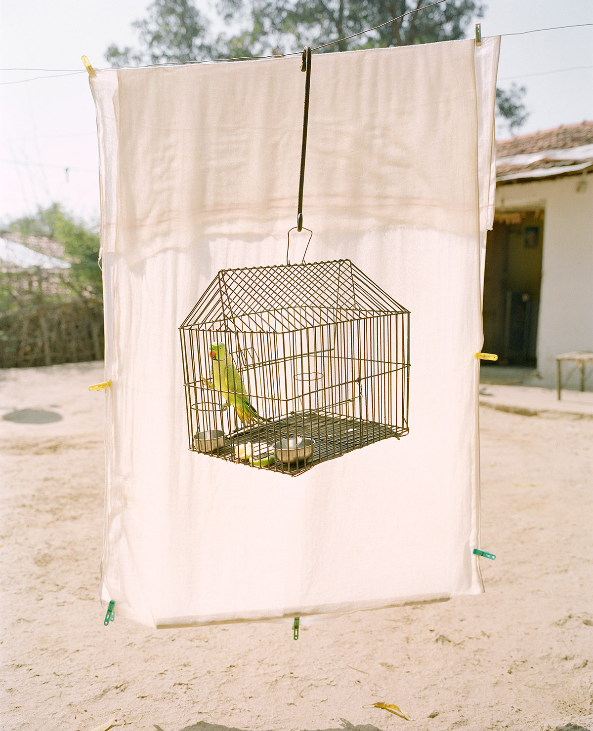Vasantha Yogananthan, Lovebird, Ramtek, India, 2015. Archival inkjet print From the series A Myth of Two Souls (2013-2021). On loan from the artist.