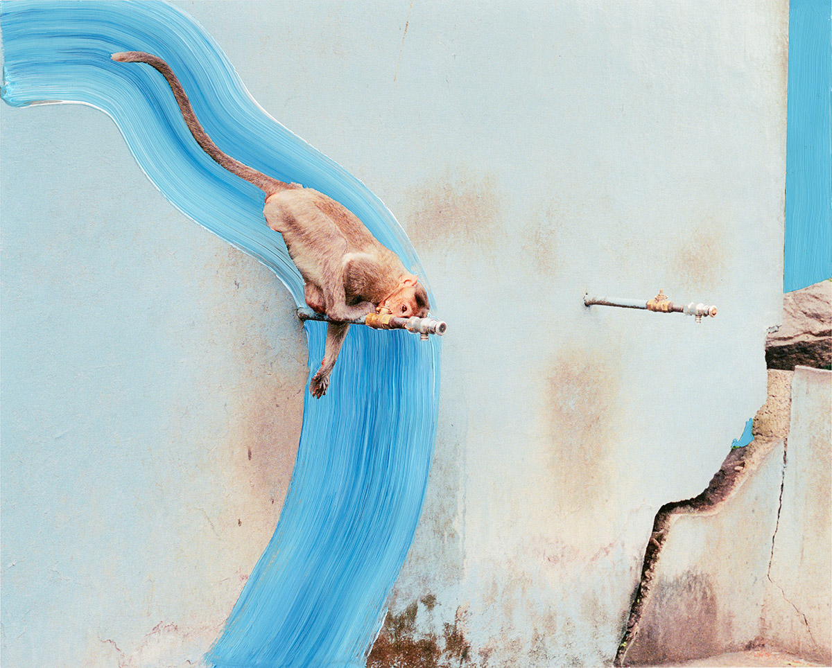 Vasantha Yogananthan, Drinking, Devaranyanadurga, India, 2016 Archival inkjet print hand-painted with acrylic. From the series A Myth of Two Souls (2013-2021). On loan from the artist.