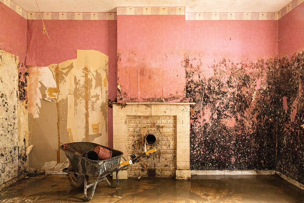 Danielle Rombaut, From the series Au-delà du concevable