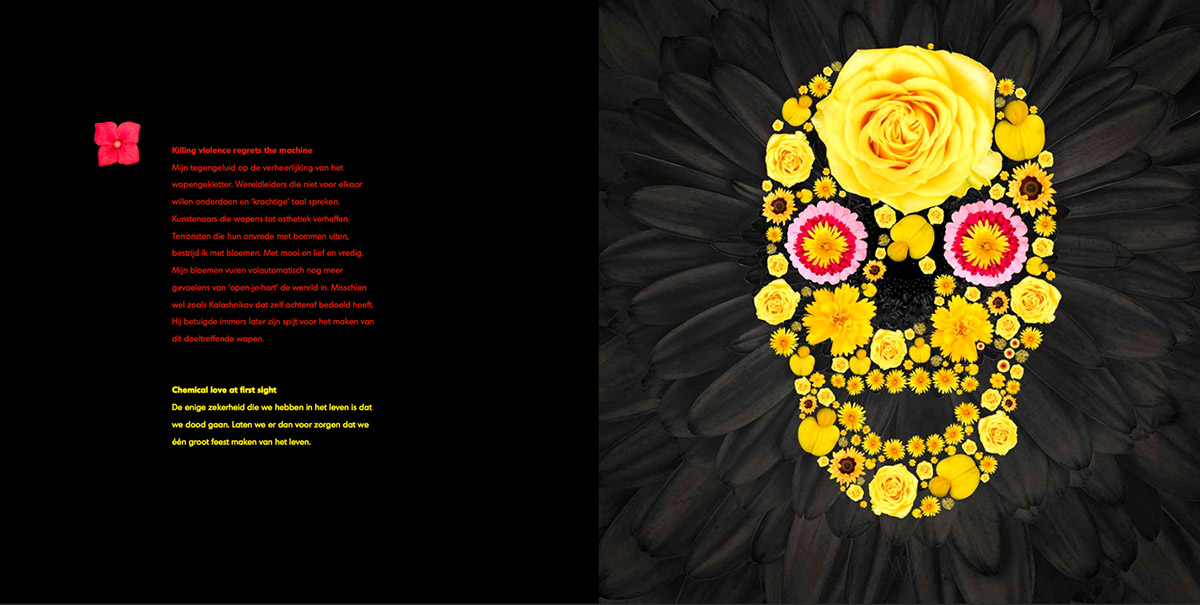 Aleksander Willemse, fotoboek Dare to love