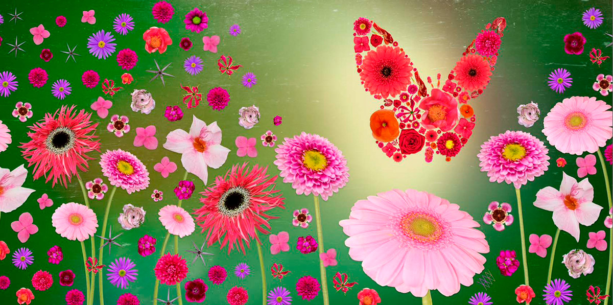 Aleksander Willemse, fotoboek Dare to love