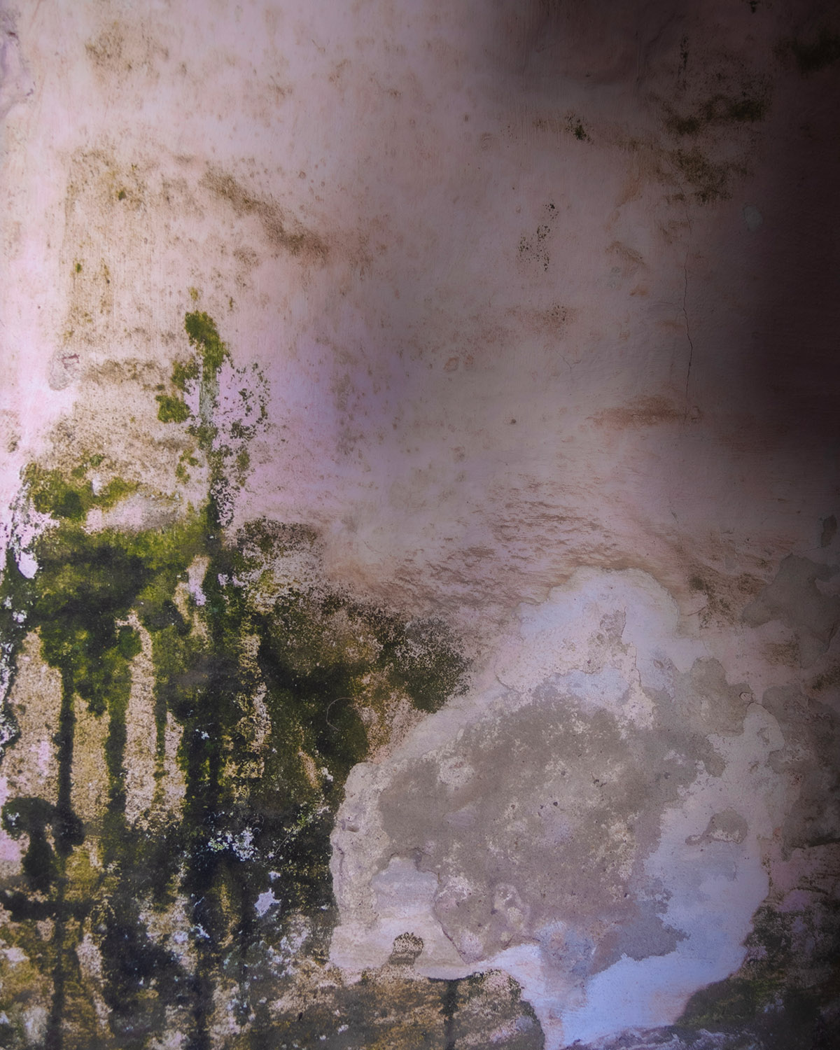 Rudi Campschroer, Matera and beyond