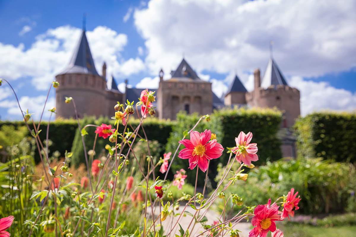 Dennis A-Tjak, Muiderslot-kasteeltuinen-bloemen-Melanie-Lemahieu