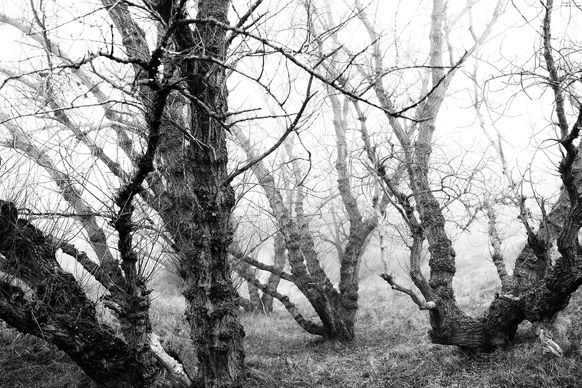 The Same as It Never Was