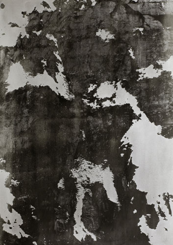 Tanja Engelberts, Petroleum Borealis